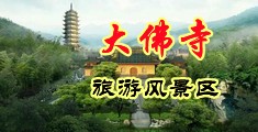 特级黑人爱爱中国浙江-新昌大佛寺旅游风景区